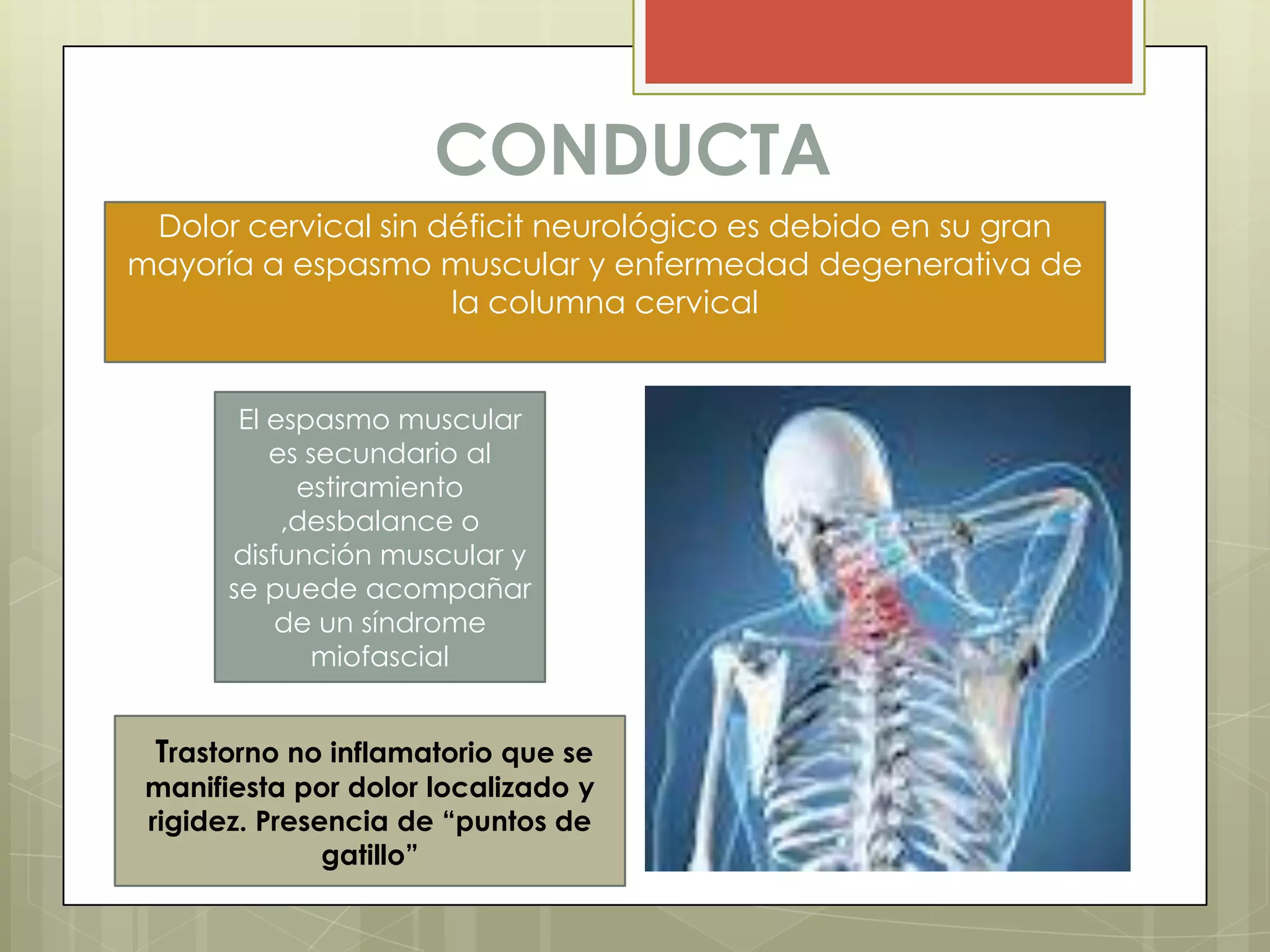 CONDUCTA
 Dolor cervical sin déficit neurológico es debido en su gran
mayoría a espasmo muscular y enfermedad degenerativa de
                     la columna cervical


        El espasmo muscular
           es secundario al
             estiramiento
            ,desbalance o
       disfunción muscular y
       se puede acompañar
           de un síndrome
              miofascial


 Trastorno no inflamatorio que se
 manifiesta por dolor localizado y
 rigidez. Presencia de “puntos de
               gatillo”
 
