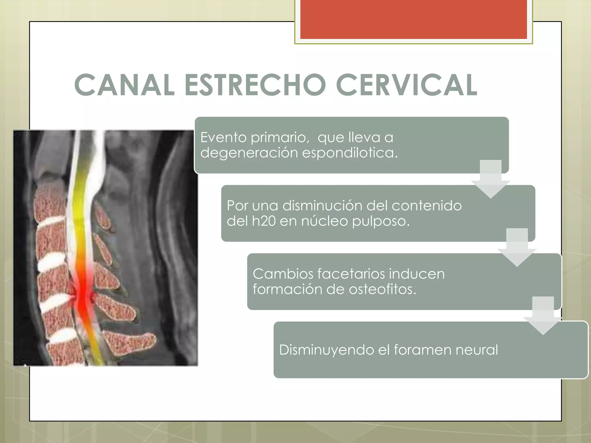 CANAL ESTRECHO CERVICAL
       Evento primario, que lleva a
       degeneración espondilotica.


          Por una disminución del contenido
          del h20 en núcleo pulposo.


              Cambios facetarios inducen
              formación de osteofitos.



                  Disminuyendo el foramen neural
 