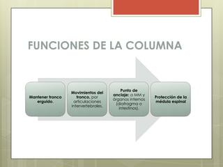 FUNCIONES DE LA COLUMNA


                                          Punto de
                  Movimientos del
           ...