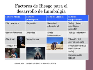 Factores de Riesgo para el
desarrollo de Lumbalgia
Factores físicos Factores
psicológicos
Factores Sociales Factores
Ocupacionales
Edad avanzada Depresión Bajo nivel
educacional
Trabajo físico o
psicológico
agotador
Género femenino Ansiedad Estrés
incrementado*
Trabajo sedentario
Obesidad Somatización Vibración del
cuerpo completo
Tabaquismo Soporte social bajo
en el sitio de
trabajo
Compensación
laboral
Golob A, Wipf J. Low Back Pain. Med Clin N Am 2014; 405-28.
 
