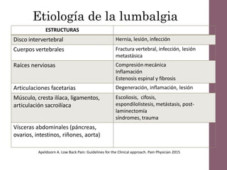 Etiología de la lumbalgia
ESTRUCTURAS
Disco intervertebral Hernia, lesión, infección
Cuerpos vertebrales Fractura vertebral, infección, lesión
metastásica
Raíces nerviosas Compresión mecánica
Inflamación
Estenosis espinal y fibrosis
Articulaciones facetarias Degeneración, inflamación, lesión
Músculo, cresta ilíaca, ligamentos,
articulación sacroilíaca
Escoliosis, cifosis,
espondilolistesis, metástasis, post-
laminectomía
síndromes, trauma
Vísceras abdominales (páncreas,
ovarios, intestinos, riñones, aorta)
Apeldoorn A. Low Back Pain: Guidelines for the Clinical approach. Pain Physician 2015
 