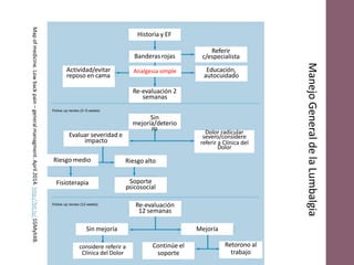 Historia y EF
Banderas rojas
Referir
c/especialista
Educación,
autocuidado
Re-evaluación 2
semanas
Actividad/evitar
reposo en cama
Analgesia simple
Sin
mejoría/deterio
ro Dolor radicular
severo/considere
referir a Clínica del
Dolor
Evaluar severidad e
impacto
Riesgo medio Riesgo alto
Fisioterapia Soporte
psicosocial
Re-evaluación
12 semanas
Sin mejoría Mejoría
considere referir a
Clínica del Dolor
Continúe el
soporte
Retorono al
trabajo
Manejo
General
de
la
Lumbalgia
Map
of
medicine.
Low
back
pain
–
general
managment.
April
2014.
http://bit.ly/
1GMyhXB.
 