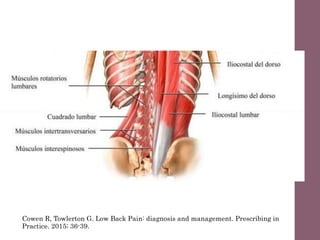 Cowen R, Towlerton G. Low Back Pain: diagnosis and management. Prescribing in
Practice. 2015; 36-39.
 