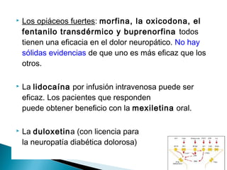    Los opiáceos fuertes: morfina, la oxicodona, el
    fentanilo transdérmico y buprenorfina todos
    tienen una eficacia en el dolor neuropático. No hay
    sólidas evidencias de que uno es más eficaz que los
    otros.

   La lidocaína por infusión intravenosa puede ser
    eficaz. Los pacientes que responden
    puede obtener beneficio con la mexiletina oral.

   La duloxetina (con licencia para
    la neuropatía diabética dolorosa)
 
