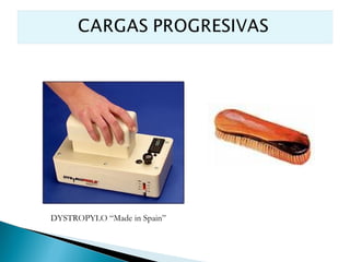 DYSTROPYLO “Made in Spain”
 