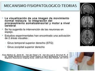    La visualización de una imagen de movimiento
    normal restaura la integración del
    procesamiento somatosensorial y motor a nivel
    cerebral
   Se ha sugerido la intervención de las neuronas en
    espejo.
   Estudios experimentales han encontrado una activación
    de 2 áreas visuales :
    ◦ Girus temporal superior derecho (STG)
    ◦ Girus occipital superior derecho

Koen Matthys K; Smits M, Van der Geest J N, Van der Lugt A, Seurinck R; Stam
  HJ, Selles RW Mirror-Induced Visual Illusion of Hand Movements: A Functional
  Magnetic Resonance Imaging Study. 2009 Arch Phys Med Rehabil ,90: 675-81
 