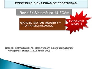 EVIDENCIAS CIENTIFICAS DE EFECTIVIDAD


             Revisión Sistemática 14 ECAs:

                                                          EVIDENCIA
             GRADED MOTOR IMAGERY +
                                                           NIVEL 2
             TTO FARMACOLÓGICO




Dale AE, Bialocerkowski AE, Does evidence support physiotherapy
  management of adult ..., Eur J Pain (2008)
 