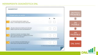 HERRAMIENTA DIAGNÓSTICA DNL
DN POCO
PROBABLE
DN
POSIBLE
DN
PROBABLE
DNL SI/NO
 