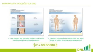 HERRAMIENTA DIAGNÓSTICA DNL
1. ¿La historia del paciente sugiere una lesión
o enfermedad nerviosa relevante?
2. ¿Resulta coherente la distribución del dolor
desde el punto de vista neuroanatómico?
1+2 = DN POSIBLE
 