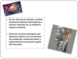  En las estructuras faciales, pueden
localizarse dolores heterotópicos o
dolores referidos de un problema
orgánico distante.
 Entre las muchas patologías que
debemos observar se encuentran
los problemas cardiovasculares y
especialmente la isquemia aguda
del miocardio
 