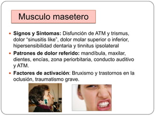 Musculo masetero
 Signos y Síntomas: Disfunción de ATM y trismus,
dolor “sinusitis like”, dolor molar superior o inferior,
hipersensibilidad dentaria y tinnitus ipsolateral
 Patrones de dolor referido: mandíbula, maxilar,
dientes, encías, zona periorbitaria, conducto auditivo
y ATM.
 Factores de activación: Bruxismo y trastornos en la
oclusión, traumatismo grave.
 