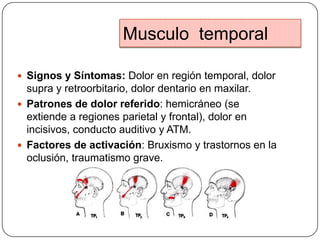 Musculo temporal
 Signos y Síntomas: Dolor en región temporal, dolor
supra y retroorbitario, dolor dentario en maxilar.
 Patrones de dolor referido: hemicráneo (se
extiende a regiones parietal y frontal), dolor en
incisivos, conducto auditivo y ATM.
 Factores de activación: Bruxismo y trastornos en la
oclusión, traumatismo grave.
 