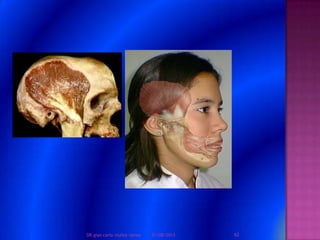 01/08/2013 62DR.gian carlo muñoz ramos
 