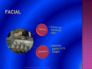 01/08/2013 7DR.gian carlo muñoz ramos
 