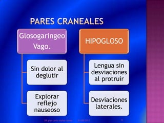 Glosogaringeo
Vago.
Sin dolor al
deglutir
Explorar
reflejo
nauseoso
HIPOGLOSO
Lengua sin
desviaciones
al protruir
Desviaciones
laterales.
01/08/2013 9DR.gian carlo muñoz ramos
 