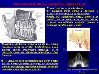 DOLOR OROMAXILOFACIAL ASOCIADO A L SENO MAXILAR Cuando el problema primario es de los senos maxilares estos se afectan bilateralmente y los dientes suelen presentarse dolorosos a la percusión pero sin signos de infección a nivel intraoral . Si el paciente está experimentando dolor dental en los dientes posterosuperiores, es importante para el odontólogo descartar sinusitis antes de proceder a un tratamiento invasivo . El seno maxilar es el más afectado. Se presenta  dolor sordo y continuo y sensación de extrusión de los dientes . Puede ver congestión nasal, dolor a la presión en el área de la maxila, fiebre, molestia retroorbitaria, malestar general y descarga purulenta por la nariz . Nivel hidroaéreo en el seno maxilar derecho 