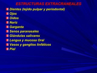 ESTRUCTURAS EXTRACRANEALES Dientes (tejido pulpar y periodontal) Ojos Oídos Nariz Garganta Senos paranasales Glándulas salivares Lengua y mucosa Oral Vasos y ganglios linfáticos Piel  