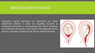 ABORTO ESPONTANEO
Sangrado vaginal asociado con calambres con dolor
abdominal inferior o dolor de espaldas durante el
embarazo temprano y acompañado por otros síntomas
de embarazo temprano, como dolor a la palpación de los
pechos, náuseas y postergación de las menstruaciones.
 