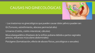 CAUSAS NO GINECOLÓGICAS
 Los trastornos no ginecológicos que pueden causar dolor pélvico pueden ser:
GI (Tumores, estreñimiento, absceso perirrectal alto)
Urinarios (Cistitis, cistitis intersticial, cálculos)
Musculoesquelético (Diastasis de la sínfisis pubiana debida a partos vaginales
previos, esfuerzos musculares abdominales)
Psicógeno (Somatización; efecto de abusos físicos, psicológicos o sexuales)
 