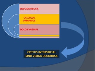 ENDOMETRIOSIS
CALCULOS
URINARIOS
DOLOR VAGINAL
CISTITIS INTERSTICIAL
SIND VEJIGA DOLOROSA
 