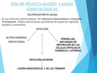 DOLOR PÉLVICO AGUDO: CAUSAS
GINECOLÓGICAS
SALPINGOOFORITIS AGUDA
Es una infección polimicrobiana. Por Neisseria Gonorrhoeae o Clamydia
Trachomatis. Origina diseminación ascendente de bacterias vaginales
aerobias y anaerobias.
INFECCIÓN
ALTERA BARRERAS
PROTECTORAS
PÉRDIDA DEL
MECANISMO DE
DEPURACIÓN DE LAS
CÉLULAS EPITELIALES
TUBÁRICAS Y UTERINAS
INFECCIÓN ASCIENDE
LESIÓN ENDOCERVICAL Y DE LAS TROMPAS
 