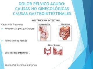 DOLOR PÉLVICO AGUDO:
CAUSAS NO GINECOLÓGICAS
CAUSAS GASTROINTESTINALES
OBSTRUCCIÓN INTESTINAL
Causa más frecuente
 Adherencias postquirúrgicas
 Formación de hernias
 Enfermedad Intestinal I.
 Carcinoma intestinal u ovárico
 