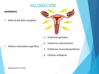 VALORACIÓN
ANAMNESIS
 Historial del dolor completa
 Historia sintomática específica:
 Exploración Física
1. Trastornos genitales
2. Trastornos enteroceliacos
3. Problemas musculoesqueléticos
4. Factores urológicos
 