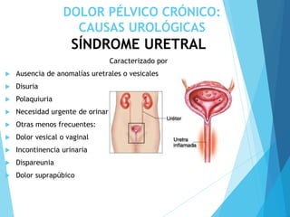DOLOR PÉLVICO CRÓNICO:
CAUSAS UROLÓGICAS
SÍNDROME URETRAL
Caracterizado por
 Ausencia de anomalías uretrales o vesicales
 Disuria
 Polaquiuria
 Necesidad urgente de orinar
 Otras menos frecuentes:
 Dolor vesical o vaginal
 Incontinencia urinaria
 Dispareunia
 Dolor suprapúbico
 