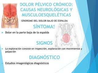 DOLOR PÉLVICO CRÓNICO:
CAUSAS NEUROLÓGICAS Y
MUSCULOESQUELÉTICAS
SÍNDROME DEL DOLOR BAJO DE ESPALDA
SÍNTOMAS
 Dolor en la parte baja de la espalda
SIGNOS
 La exploración consiste en inspección, exploración con movimientos y
palpación
DIAGNÓSTICO
 Estudios imagenlógicos diagnósticos
 