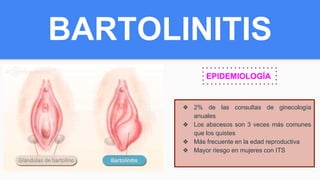 BARTOLINITIS
EPIDEMIOLOGÍA
❖ 2% de las consultas de ginecología
anuales
❖ Los abscesos son 3 veces más comunes
que los quistes
❖ Más frecuente en la edad reproductiva
❖ Mayor riesgo en mujeres con ITS
 