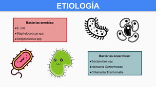 ETIOLOGÍA
Bacterias aerobias:
●E. coli
●Staphylococcus spp
●Streptococcus spp
Bacterias anaerobias:
●Bacteroides spp
●Neisseria Gonorrhoeae
●Chlamydia Trachomatis
 