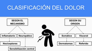 CLASIFICACIÓN DEL DOLOR
SEGÚN EL
MECANISMO
SEGÚN SU
ORIGEN
Inflamatorio Neuropático Somático Visceral
Dermatomas ReferidoNociceptores
Sensibilización central
 