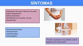 ★Sensación de masa o llenura en la parte
inferior del abdomen
★Dolor abdominal
★Problemas en la micción y en las
deposiciones
Tienden a aparecer en la pubertad ante la
llegada de la menstruación
SÍNTOMAS
★Amenorrea primaria
★Hematometra
★Hematocolpos
★Hemasalpinx
 