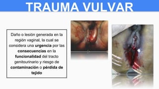 TRAUMA VULVAR
Daño o lesión generada en la
región vaginal, la cual se
considera una urgencia por las
consecuencias en la
funcionalidad del tracto
genitourinario y riesgo de
contaminación o pérdida de
tejido
 