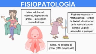FISIOPATOLOGÍA
Mujer adulta → L.
mayores, depósitos de
grasa → protección
contra lesiones
Niñas, no soporte de
grasa. (Más propensas)
Post-menopausia →
Atrofia genital, Pérdida
de laxitud, disminución
de la vascularización
epitelial vaginal →
asociadas a prolapso
 