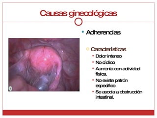 Causas ginecológicas Adherencias Características Dolor intenso No cíclico Aumenta con actividad física. No existe patrón especifico Se asocia a obstrucción intestinal. 