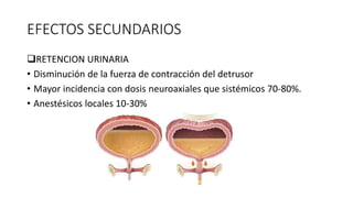 EFECTOS SECUNDARIOS
RETENCION URINARIA
• Disminución de la fuerza de contracción del detrusor
• Mayor incidencia con dosis neuroaxiales que sistémicos 70-80%.
• Anestésicos locales 10-30%
 
