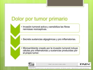 Dolor por tumor primario
• Invasión tumoral activa y sensibiliza las fibras
nerviosas nociceptivas.
• Secreta sustancias algogénicas y pro inflamatorias.
• Microambiente creado por la invasión tumoral incluye
células pro inflamatorias y sustancias producidas por
el propio tumor.
 