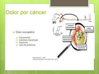 Dolor por cáncer
 Dolor neuropático
 Compresión
 Lesiones mecánicas
 Isquemia
 Lisis de proteínas
Mercadante S., 1997
Deconstructing the neuropatic pain, 2012
 
