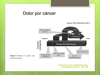 Dolor por cáncer
Cancer pain: part 1, pathophysiology.
Pain Medicine 2010; 11: 742 - 764
 