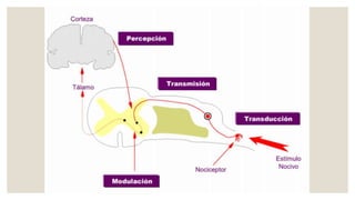 Dolor postoperatorio | PPTX