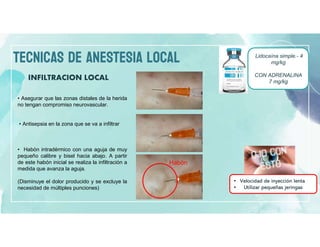 TECNICAS DE ANESTESIA LOCAL
INFILTRACION LOCAL
Lidocaína simple.- 4
mg/kg
CON ADRENALINA
7 mg/kg
• Asegurar que las zonas distales de la herida
no tengan compromiso neurovascular.
• Antisepsia en la zona que se va a infiltrar
• Habón intradérmico con una aguja de muy
pequeño calibre y bisel hacia abajo. A partir
de este habón inicial se realiza la infiltración a
medida que avanza la aguja.
(Disminuye el dolor producido y se excluye la
necesidad de múltiples punciones)
Habón
• Velocidad de inyección lenta
• Utilizar pequeñas jeringas
 