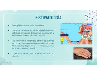 FISIOPATOLOGÍA
● La cirugía produce un daño tisular local
● Liberación de sustancias locales algogénicas como
histamina, serotonina, bradicinina, sustancia P, y
de diferentes factores tisulares. (TNF, IL).
● Esta liberación es transmitida a través de los haces
nociceptivos que hacen sinapsis en el asta dorsal
de la médula y llegan hasta los centros superiores
del sistema nervioso central.
● El paciente siente dolor a través de esta vía
aferente.
 