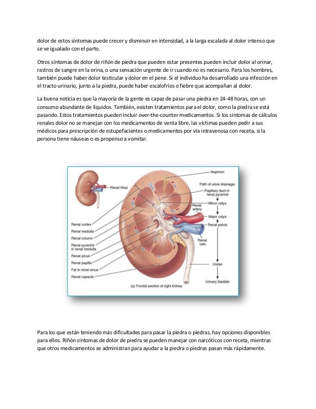 La hernia intervertebral с3 с4