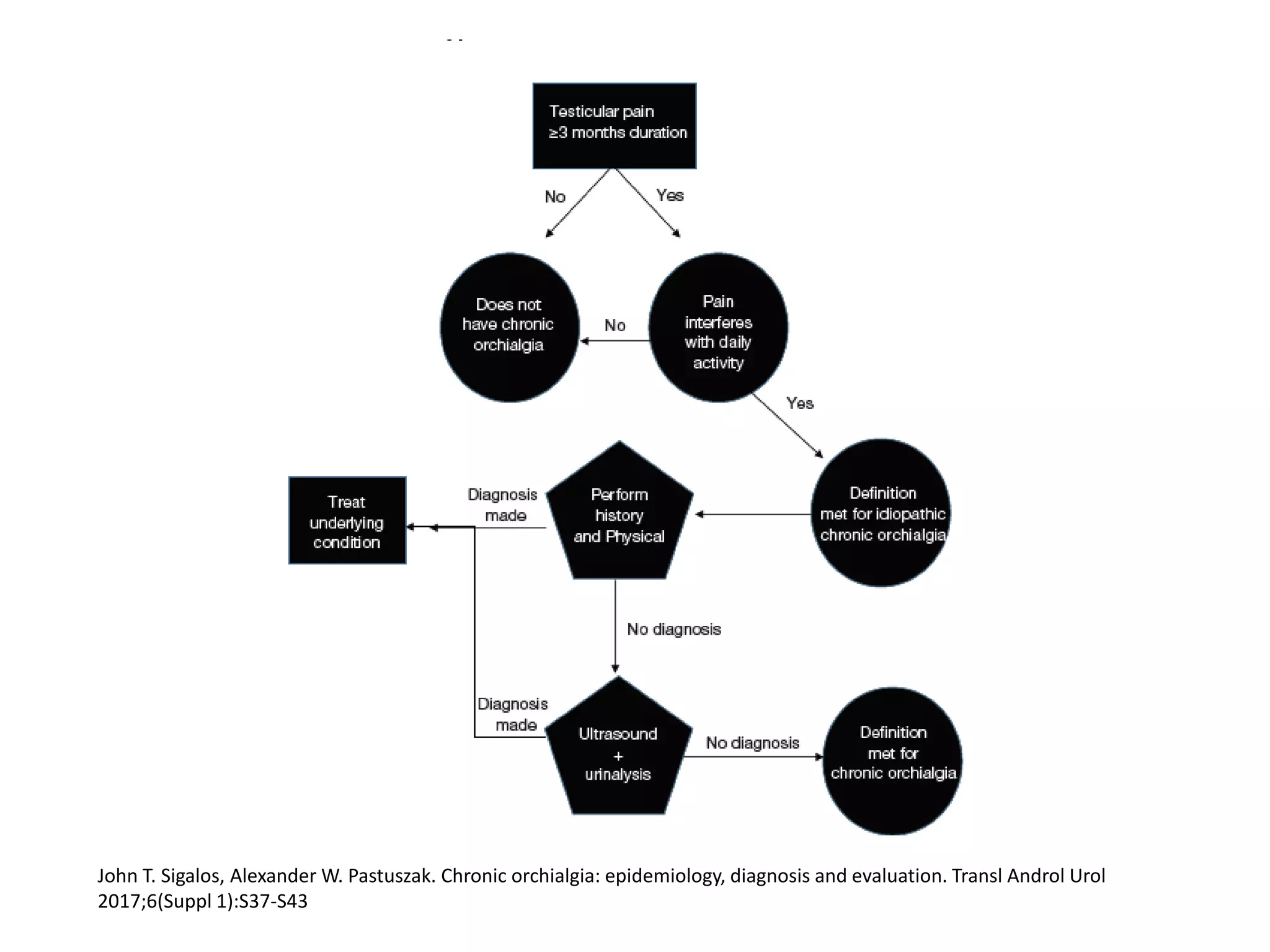 Orchalgia Algorithm Dolor testicular crónico/Chronic orchialgia | PPT