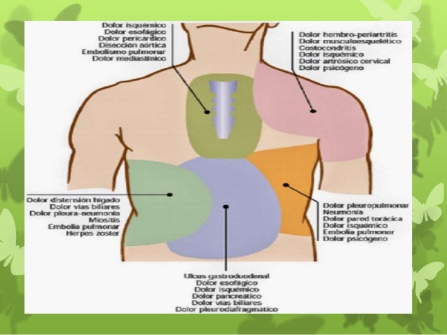 A que enfermedades del intestino duele los riñones