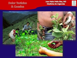 Juan Pablo Peña Diaz, MDMedicina de UrgenciasDolor Torácico& Cocaína