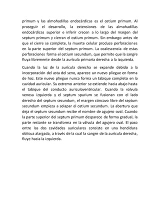 primum y las almohadillas endocárdicas es el ostium primum. Al
proseguir el desarrollo, la extensiones de las almohadillas
endocárdicas superior e inferir crecen a lo largo del margen del
septum primum y cierran el ostium primum. Sin embargo antes de
que el cierre se complete, la muerte celular produce perforaciones
en la parte superior del septum primum. La coalescencia de estas
perforaciones forma el ostium secundum, que permite que la sangre
fluya libremente desde la aurícula primaria derecha a la izquierda.
Cuando la luz de la aurícula derecha se expande debido a la
incorporación del asta del seno, aparece un nuevo pliegue en forma
de hoz. Este nuevo pliegue nunca forma un tabique completo en la
cavidad auricular. Su extremo anterior se extiende hacia abajo hasta
el tabique del conducto auriculoventricular. Cuando la válvula
venosa izquierda y el septum spurium se fusionan con el lado
derecho del septum secundum, el margen cóncavo libre del septum
secundum empieza a solapar el ostium secundum. La abertura que
deja el septum secundum recibe el nombre de agujero oval. Cuando
la parte superior del septum primum desparece de forma gradual, la
parte restante se transforma en la válvula del agujero oval. El paso
entre las dos cavidades auriculares consiste en una hendidura
oblicua alargada, a través de la cual la sangre de la aurícula derecha,
fluye hacia la izquierda.
 