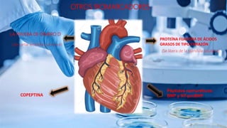 OTROS BIOMARCADORES
LA PRUEBA DE DÍMERO D
PROTEÍNA FIJADORA DE ÁCIDOS
GRASOS DE TIPO CORAZÓN
COPEPTINA
Péptidos natriuréticos:
BNP y NT-proBNP
(descartar embolia pulmonar)
(Se libera de la glándula pituitaria)
 