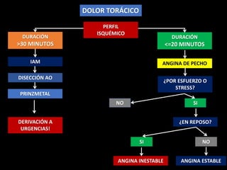 DOLOR TORÁCICO
PERFIL
ISQUÉMICO
DURACIÓN
>30 MINUTOS
IAM
DISECCIÓN AO
PRINZMETAL
DERIVACIÓN A
URGENCIAS!
DURACIÓN
<=20 MINUTOS
ANGINA DE PECHO
ANGINA INESTABLE
NO SI
¿EN REPOSO?
SI NO
¿POR ESFUERZO O
STRESS?
ANGINA ESTABLE
 